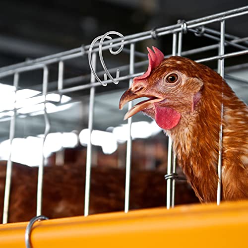 POPETPOP 40Pcs Kooi Deur Haak Draad Deur Kooi Vergrendelingen Rvs Haken Kooi Accessoires Fokken Apparatuur Voor… - Afbeelding 8