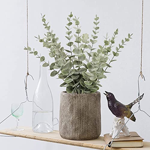 Pvczool 18 Pezzi di Steli di Eucalipto Steli di