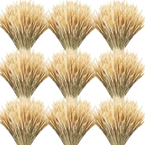 Geosar 600 Stems Dried Wheat Stalks for Decor Natural Wheat Grass Sheaves Bundle Farmhouse Artificial Flowers Arrangement for DIY Wedding Table Home Centerpieces Party Decorative(17.7 Inch)