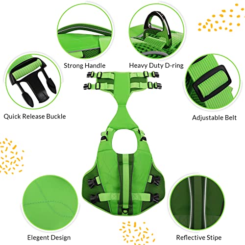 ASENKU Schwimmweste Hund Mittel M,Verstellbar & Ripstop Hundeschwimmweste,Rettungsweste für Hunde mit Griff und Reflektierend, Hunde Schwimmweste für Chihuahua,Dackel,Französische Bulldogge, Labrador