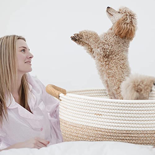 La Mejor Lista de Cestas de regalo - 5 favoritos. 24 Imagen adicional