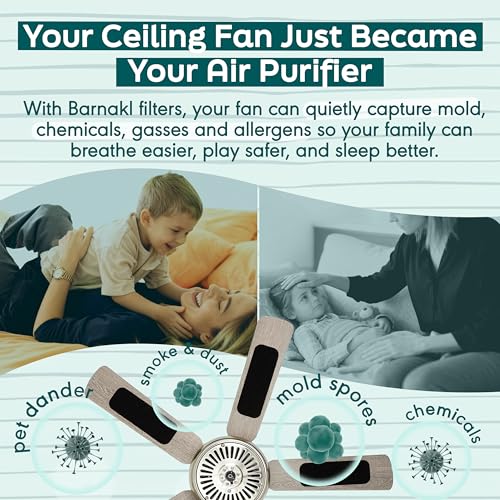 Barnakl Ceiling Fan Carbon Pads