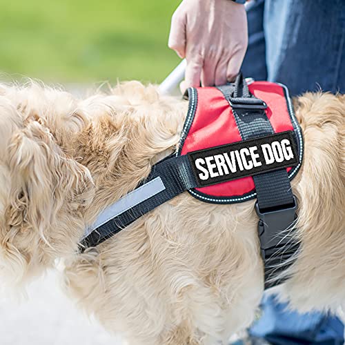 Molain 6 Stück/Set Reflektierende Hundewesten Patches Abnehmbare Hundegeschirr Patches mit Haken Custom Name Patch - Service Dog In Training Therapie Do Not Pet