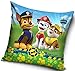 Mgs33 Housse Coussin, Taie d'oreiller Compatible Paw Patrol 40x40