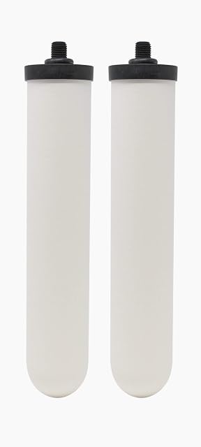 Doulton Short Mount Ultracarb with Scale Inhibitor Ceramic Water Filter for use in Doulton Hip, HIS & Duo Housings - W9123019-2 Pack