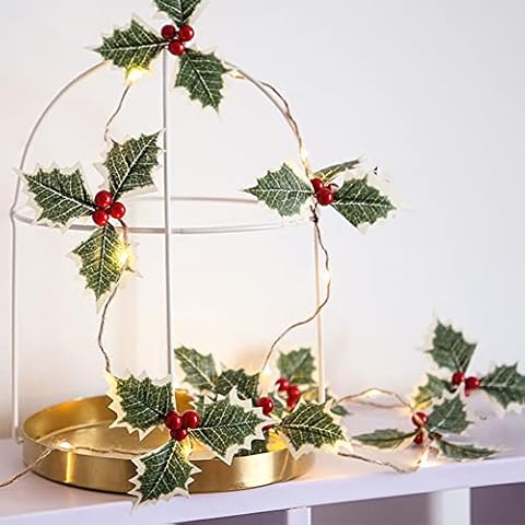 Editbar Christmas String Lights, 2M 20LED Christmas Decorative Red Berries Garland Battery Operated Warm White Night Light for Xmas Tree New Year Party Garden Ornament(Need self-configured battery) Cover