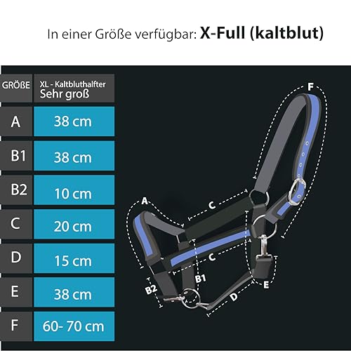 Foto von Halfter für Pferde Kaltblut | Halfter xxfull, Stallhalfter| Halfter verstellbar 2 Fach an Kinnriemen & Genickstück (Schwarz-blau, XFull (Kaltblut))