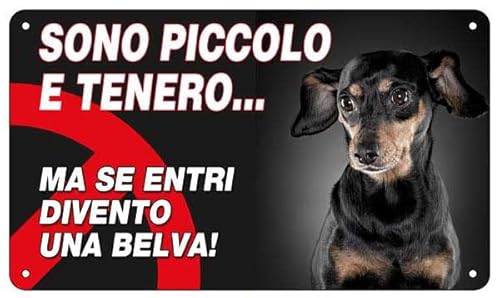 NEW CARTELLO SEGNALETICO - Attenti al cane pincher, SONO PICCOLO E TENERO, MA SE ENTRI DIVENTO UNA BESTIA (ADESIVO 20X31 CM)