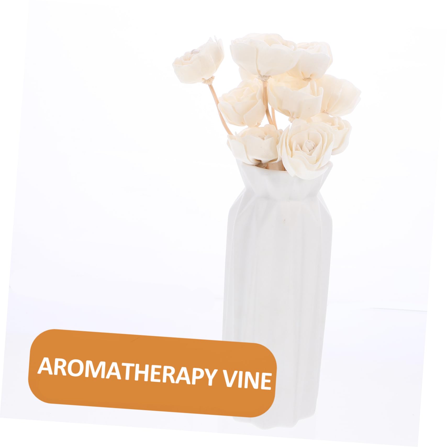 Levemolo 10pcs Floral Sticks Aromatherapy Essential Oil Diffuser Replacement Flowers