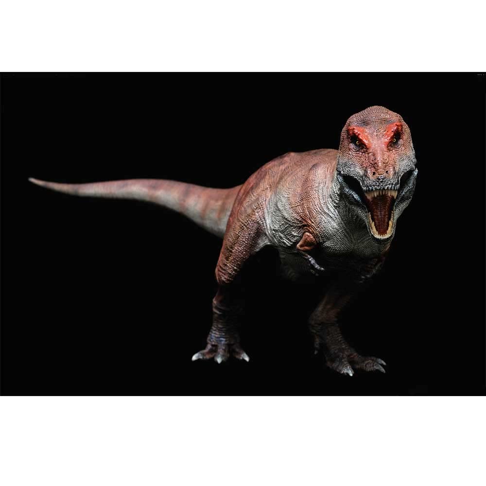 Everything Dinosaur REBOR 1:35 scale Tyrannosaurus rex TUSK
