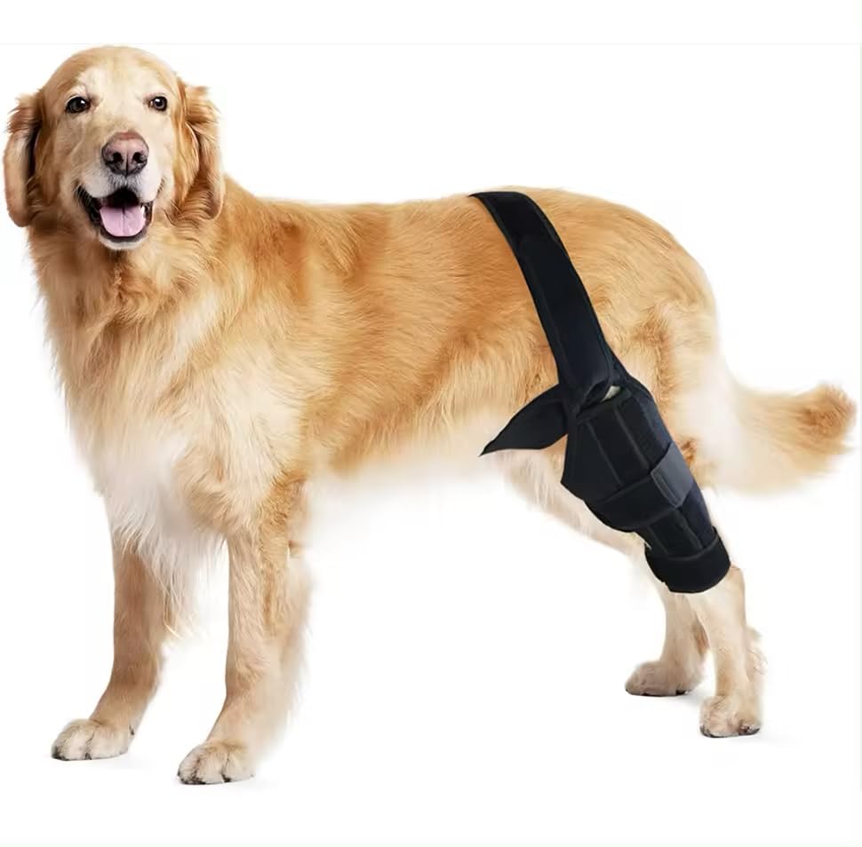 Image of Dog Leg Braces, Dog Knee Brace, Dog Hip Brace, Cruciate Care Knee Brace for Dogs (Small)