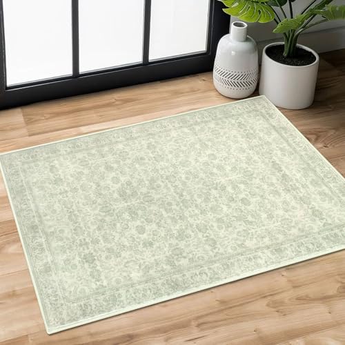 SIILOOM 2x3 Washable Rug Soft Area Rug for Entryway, Light