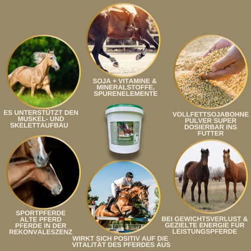Sojaschrot Pferd - Aufbaufutter Pferd mit Vitamin E Aminosäuren B-Vitamine 6Kg Zusatzfutter Muskelaufbau Soja Protein Pulver für Gewichtszunahme I Weight Gainer Zunehmen bei Untergewicht