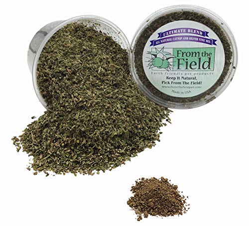 from The Field | Ultimate Blend Catnip & Silver Vine | Premium USA-Grown Catnip for Toys & Playtime | Fresh, Potent, Non-Toxic, Eco-Friendly | Safe