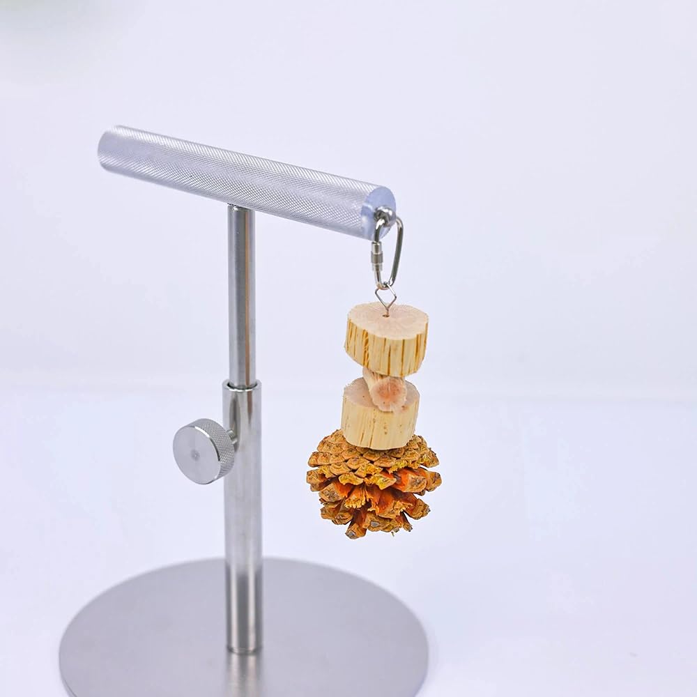 Toplionace Soporte de Escritorio para Loros, Percha de Entrenamiento Totalmente Metálica para Aves.