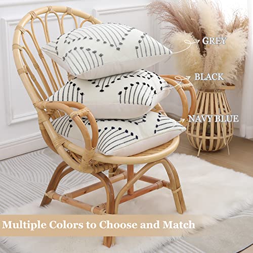 Farmhouse Decorative Throw Pillow Covers for Living Room - Set of 2, Black and Cream White, 18x18