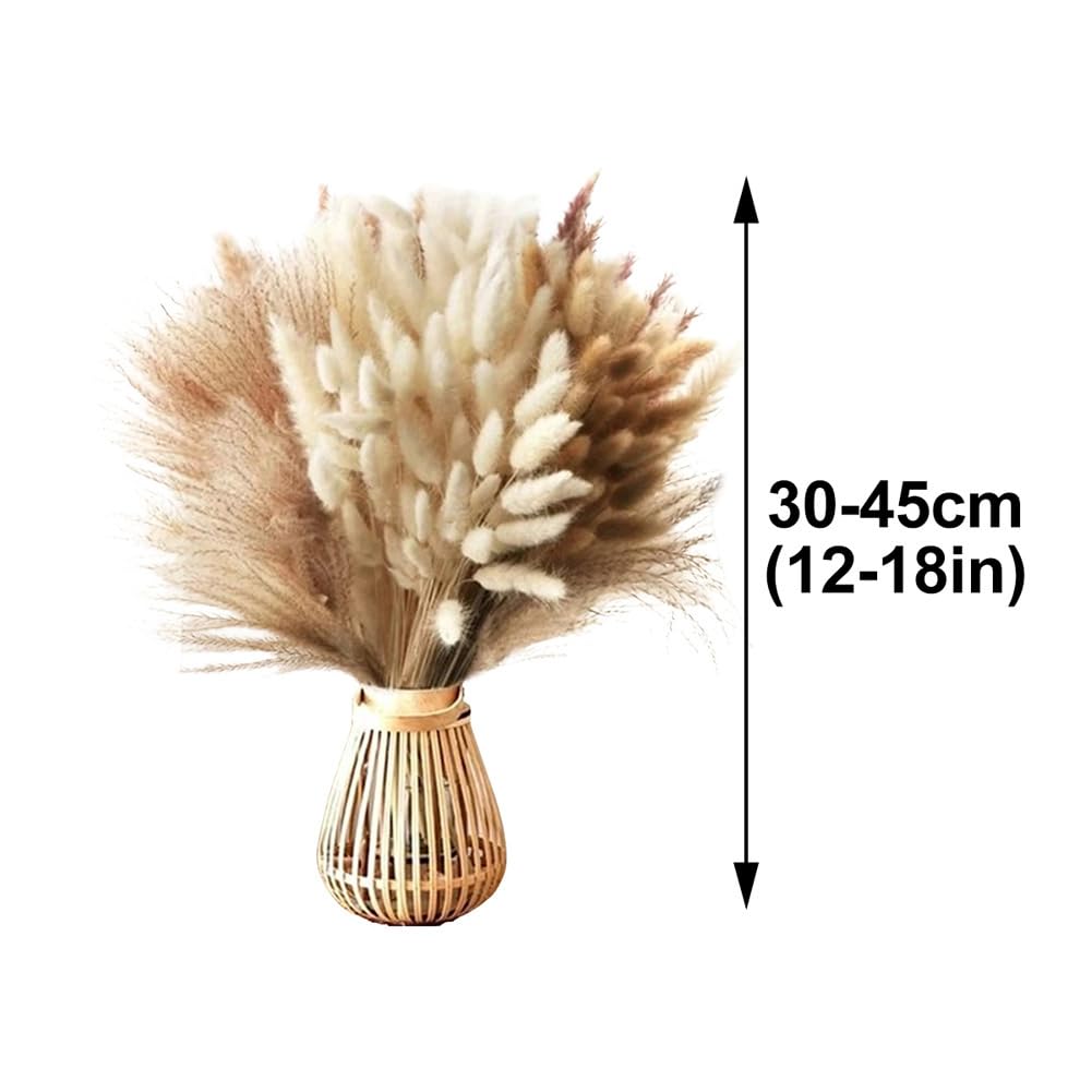 100 Fleurs Séchées en Forme De Queue De Lapin, Tiges d'herbe De La Pampa Naturelles, Style Bohème, pour Mariage, Maison, Remplissage De Vases, 30-45 Cm