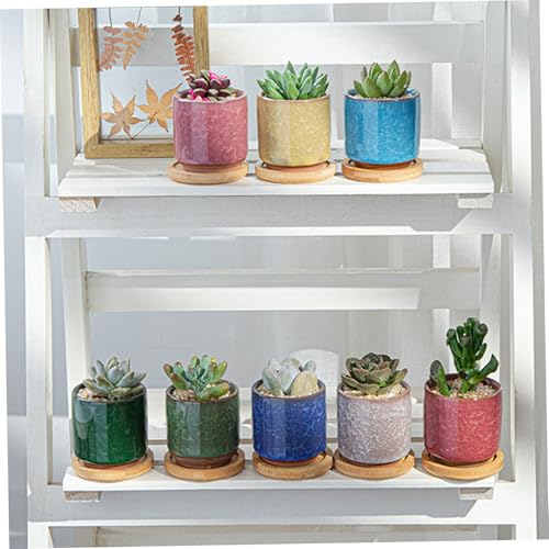 Lot de 6 pots de fleurs en céramique craquelée pour la maison
