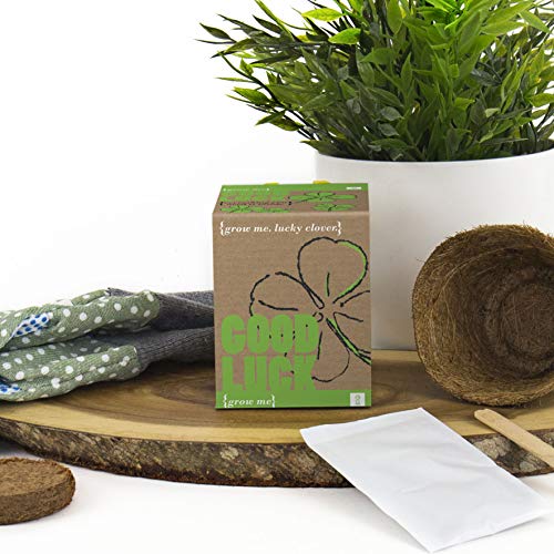 MAGS GR130005 - Kit de Cultivo en casa (de Empuje)