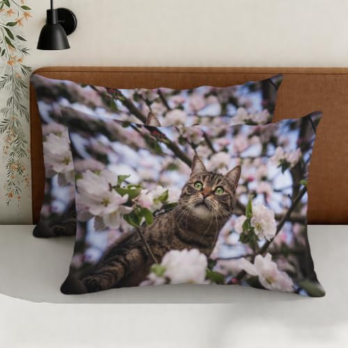 Housse de couette chat 240x260 en microfibre douce facile à enfiler avec zip - 5