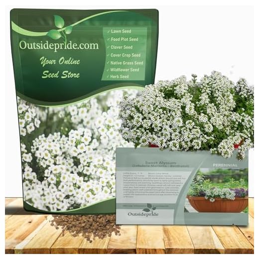 Perennial Sweet Alyssum Seeds 5 lbs