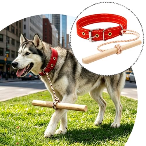 Herramienta entrenamiento antitirones para perros Colcolo con barra de madera ligera 7