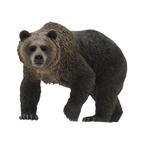 ヒグマ Amazon.co.jp: ネイチャーテクニカラー Nature of Japan 日本の