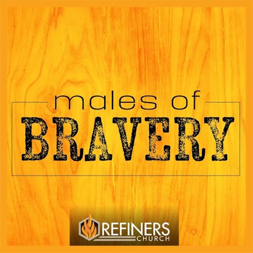 『Males Of Bravery』のカバーアート