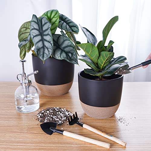 Joyonic Black Ceramic Planters For Indoor Plants,Set Of 2Pcs,7+5.6 Inch Plant Pot, House Plant Pots With Drainage And Plug,Flower Pot Nursery Planting Pot For Indoor Plants,Succulents,Snake Plant #TOP5