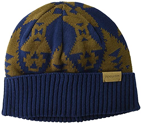 Pendleton Merino Wool Knit Cap, Siskiyou, one Size