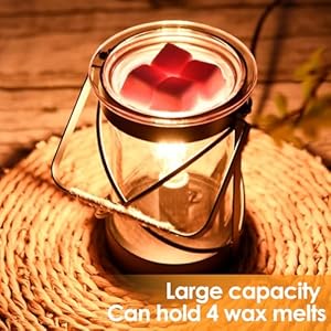 Electric Wax Melt Warmer, 40W Edison Bulb Scentsy Wax Warmer with 2/4/8h Timer, Glass Iron Scentsy Warmer Burner Melter for Wax Melts Electric Wax Melt Warmer 40W Edison Bulb Scentsy Wax Warmer with 248h Timer Glass Iron Scentsy Warmer Burner Melter for Wax Melts