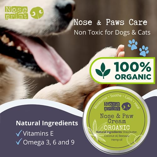 Noseprint Bio-Nasen- und Pfotenbalsam, 30 ml, 100 % natürlich, für Hunde, Feuchtigkeitspflege, spendet Feuchtigkeit und Konditionen, lindert trockene, rissige Pads (30 ml, 1), Weiß