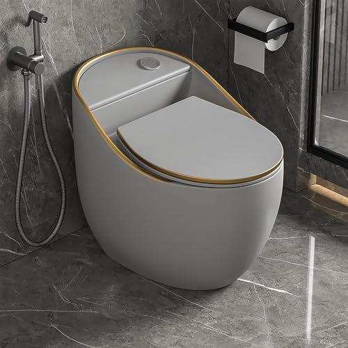 Inodoro inteligente de una sola pieza con bidé moderno y silencioso de cerámica para baño en casa u hotel, C-665x465x555mm miniatura 7