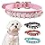 pets-lover Personalised Dog Puppy Cat Pet NAME Collar (Pink, M(2CM*42CM))