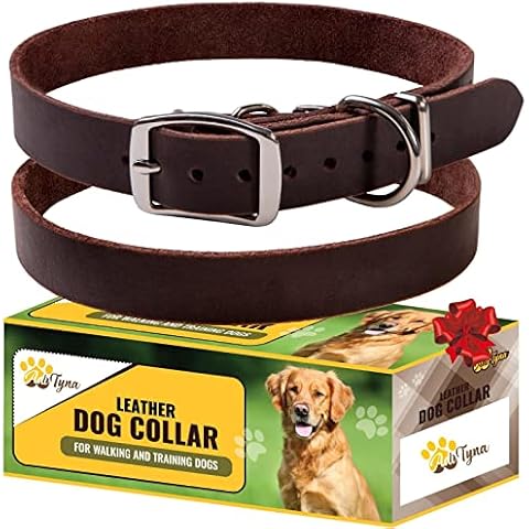 ADITYNA Leather Dog Collar for Small Dogs - Classic, Soft, Strong, Heavy Duty, Handmade Top-Grain Leather - for Walking, Training, and Hiking Cover