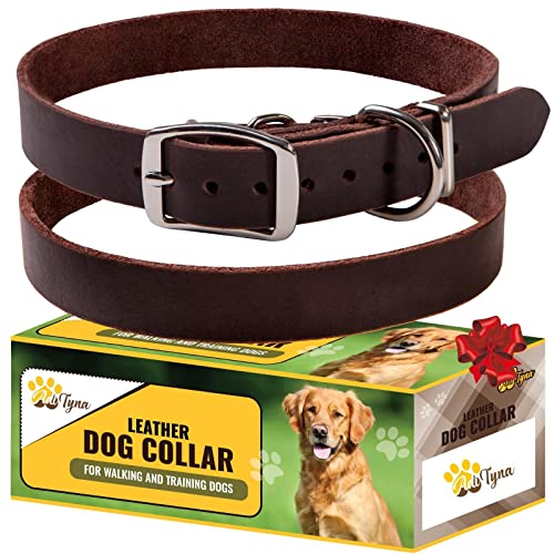 ADITYNA - Leather Dog Collar for Medium Dogs - Classic Style, Soft and Strong, Heavy Duty, Top-Grain...