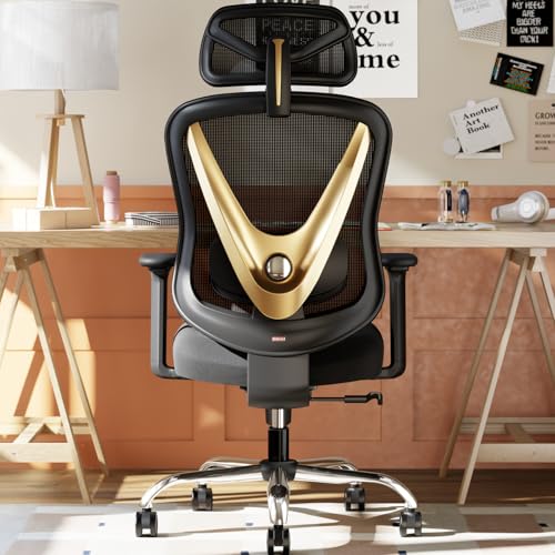 Image of HOLLUDLE Ergonomic Mesh Office Chair - 3D Adjustable Lumbar Support & 3D Armrests, V-Shaped Back, Adjustable Desk Chair for Office & Home, Black and Gold