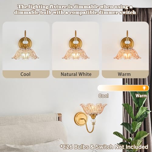 Image of 1 Piece Vintage Wall Sconce with Floral Amber Glass Shade, Matte Brass Finish Wall Sconce for Bathroom,Vintage Bathroom Vanity Light Fixture