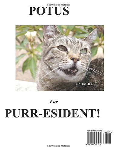 Best⁢ Children's Book - The Cat Who will⁢ Be president Review