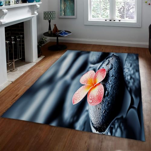 Tapis lavable à la machine 150x240 cm pliant à poil bas