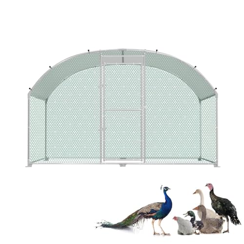 LZQ Enclos pour poulailler, 3 x 2 m, en métal galvanisé, avec toit, résistant à l'hiver et aux intempéries, pour lapins, canards, extérieur, pour petits animaux