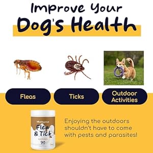 Flea and Tick Prevention for Dogs, Chewable – 90 Peanut Butter Flavored Soft Chews – Made with B Vitamins, Garlic Powder, Brewers Yeast, Coconut Oil, and Apple Cider Vinegar