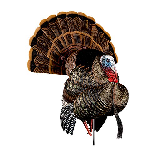 AvianX HDR Strutter Turkey Decoy, Multi The Turkey Call Store
