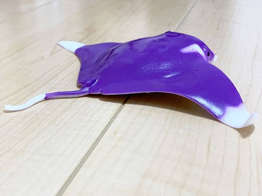 Amazon.co.jp: くじら&Co. WHALES&Co. ビッグ オニイトマキエイ くじら