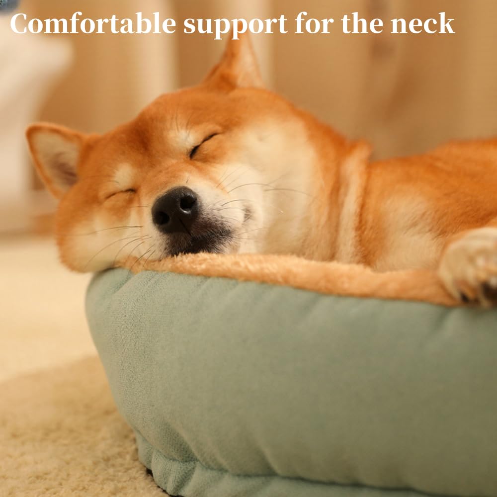 سرير كبير للقطط والكلاب، سرير للكلاب مع وسادة قابلة للازالة، سرير قطط دافئ ومريح للاستخدام الداخلي للحيوانات الاليفة، عش القطط، وسادة قبة، نوم ناعم، اسرة كلاب مقاومة للقلق، سرير للحيوانات الاليفة قابل