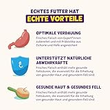 Edgard & Cooper Nassfutter für Hunde (Huhn & Truthahn, 400g x 6), Getreidefrei, natürliche Zutaten und frisches Fleisch, voller essentieller Aminosäuren
