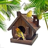 Casinha De Passarinho Livres Silvestres Madeira Tratada Eco