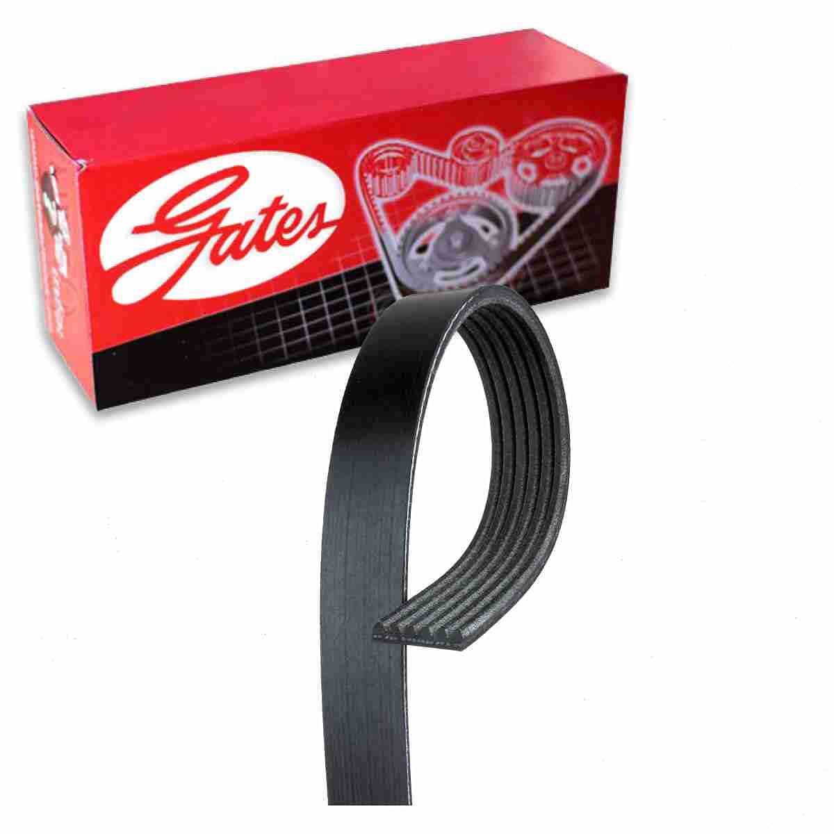 Gates Micro-V Serpentine Belt Compatible with Toyota Tundra 4.7L V8 2007-2009