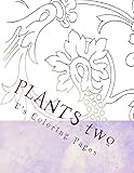 PLANTS two