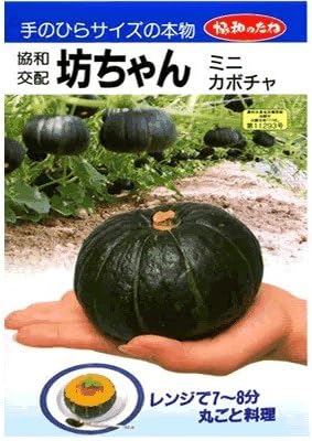 Amazon 坊ちゃん みかど協和のミニカボチャ種です 野菜